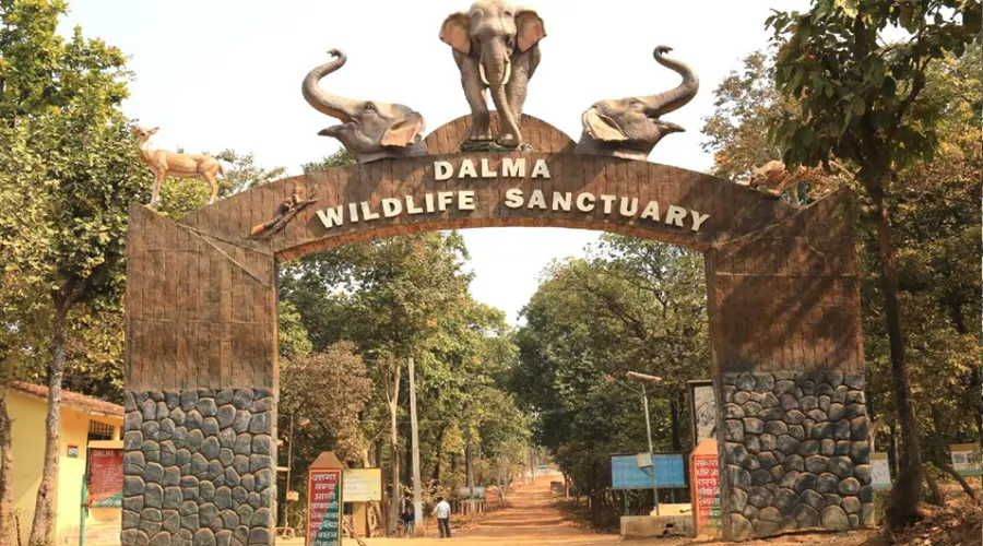 Dalma Wildlife Sanctuary